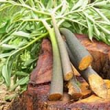 SugarMute Ingredient 6