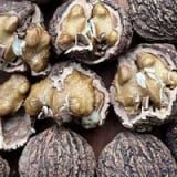 SugarMute Ingredient 1